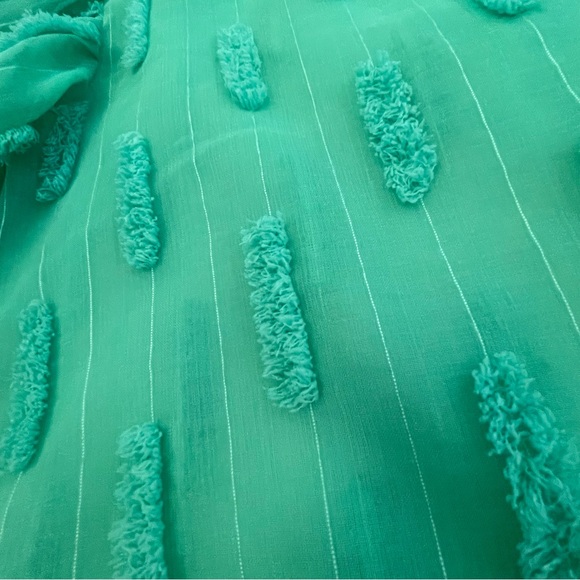 NWT Zara Sheer Puff Sleeve Spearmint Green Fringe Textured Blouse - Picture 3 of 12
